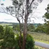 Waldhorn Drive