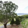 Waldhorn Drive