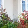 Hillside Crescent