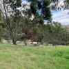 Southgate Drive