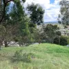 Southgate Drive