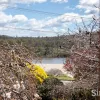 Bayview Drive
