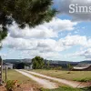 Loop Road