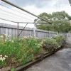 Currawong Place
