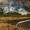 Macquarie Street