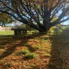 Macquarie Street