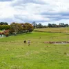 Porters Road