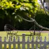 Tasmania Street