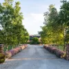 Winkleigh Road