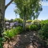 Arthur Street