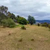 Lalla Road