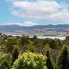 Stephensdale Drive