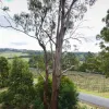 Waldhorn Drive