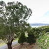 Waldhorn Drive