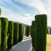 Leichhardt Grove