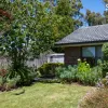 Partridge Drive