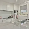 Dalmatian Court