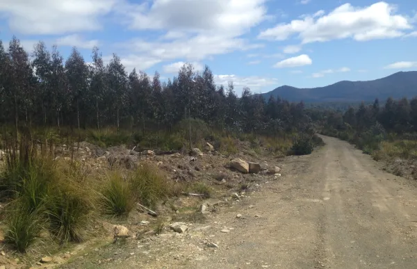 Mt Barrow Road