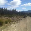 Mt Barrow Road