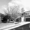 Pitt Avenue