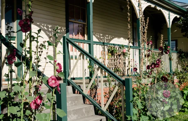 Dowling Street