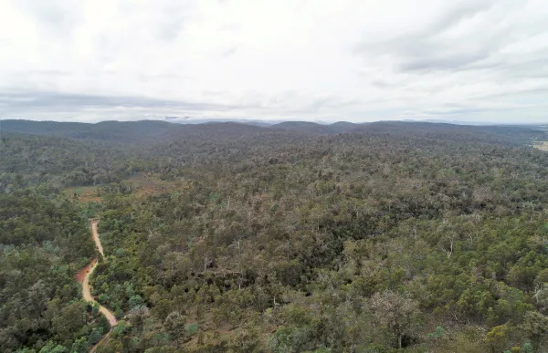 Lilydale Road