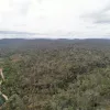 Lilydale Road