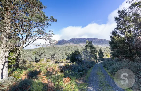 Mount Barrow Road