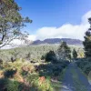 Mount Barrow Road