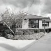 Young Court