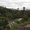 Bayview Drive