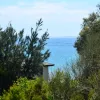 Gardners Road