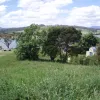 Rosevears Drive