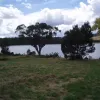 Rosevears Drive