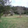Rosevears Drive