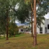 Lachlan Parade