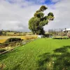 Rosevears Drive