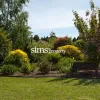 St Albans Court