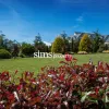 St Albans Court