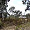 Cambria Drive