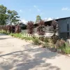 Lakeview Court