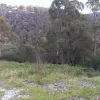 Quarry Road