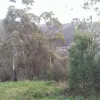 Quarry Road