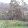 Quarry Road