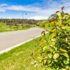 Parklands Parade