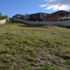Hamish Court