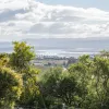 Stephensdale Drive