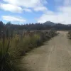 Mt Barrow Road