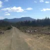 Mt Barrow Road