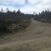 Mt Barrow Road